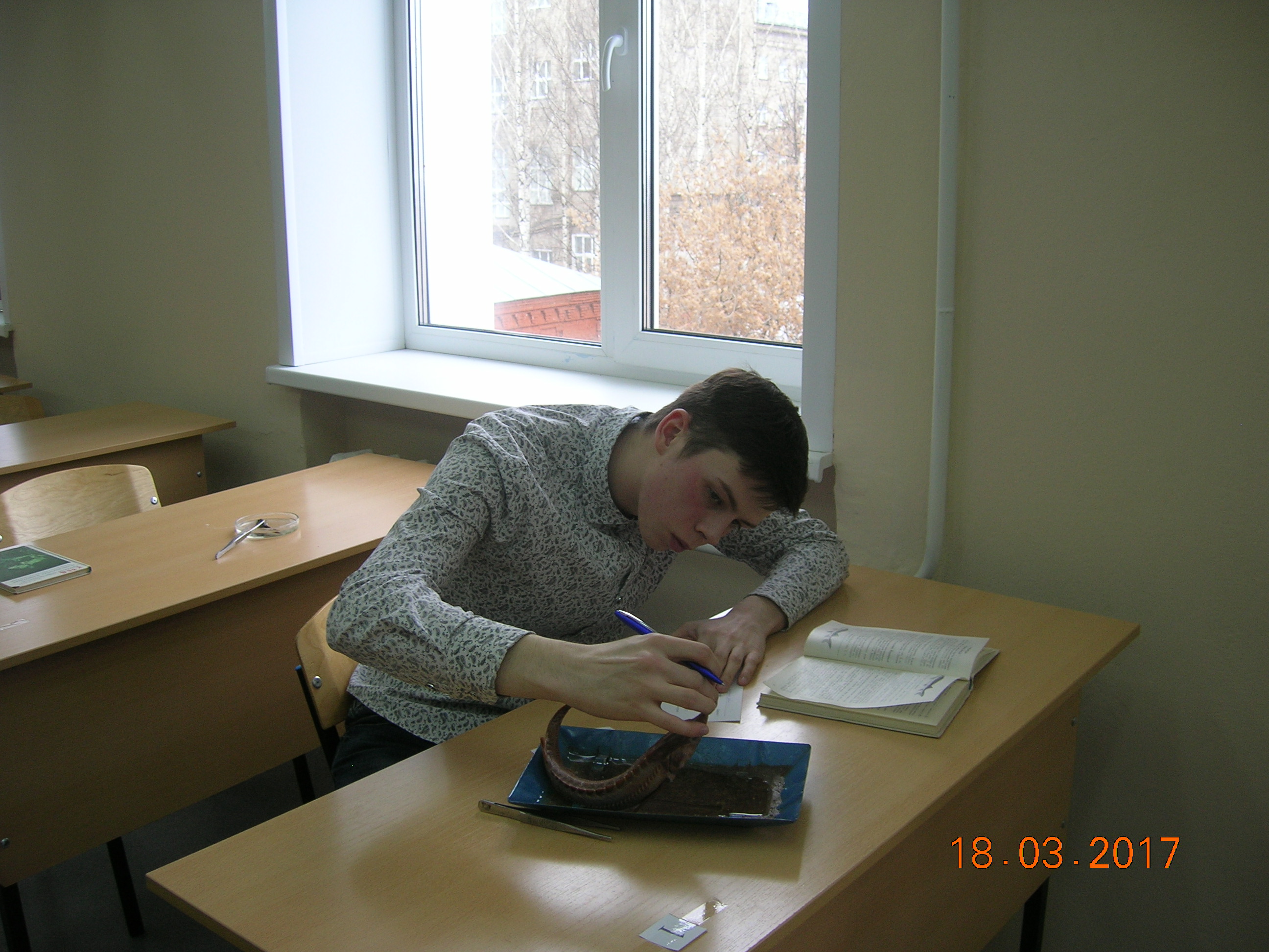 олимпиада по биологии и экологии