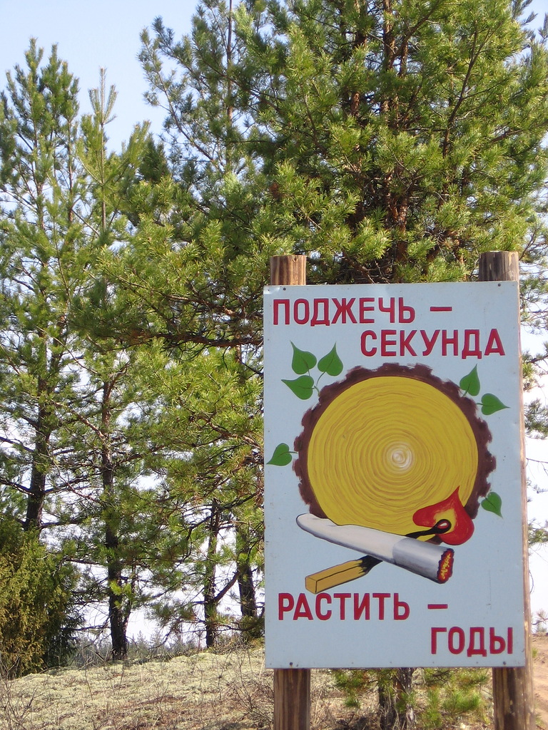 Лесное дело
